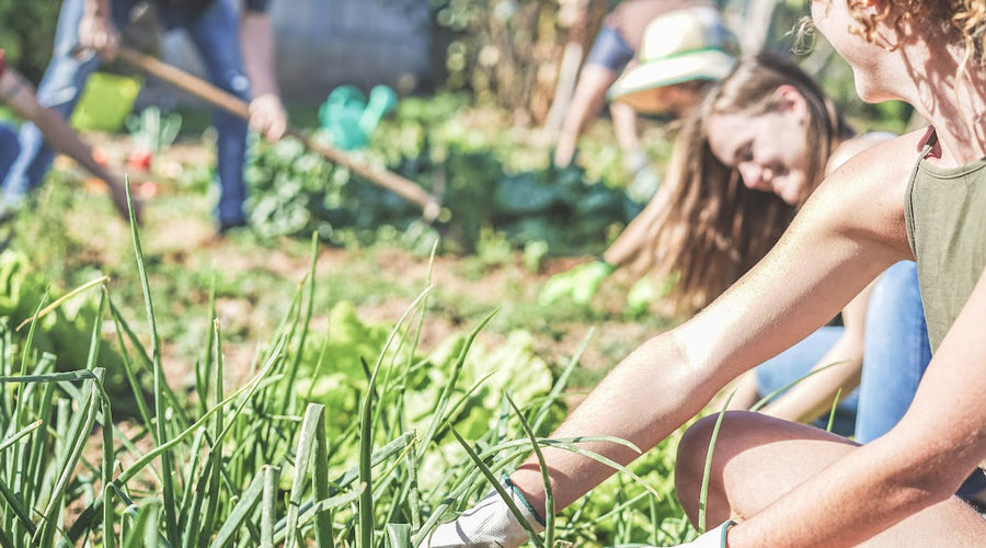 Growing Good Things: How Gardening Can Support Your Wellness Routine