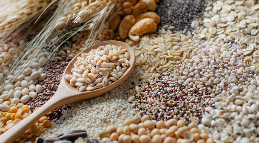 Prebiotics, Probiotics, and the Gentle Routine Your Gut Will Thank You For