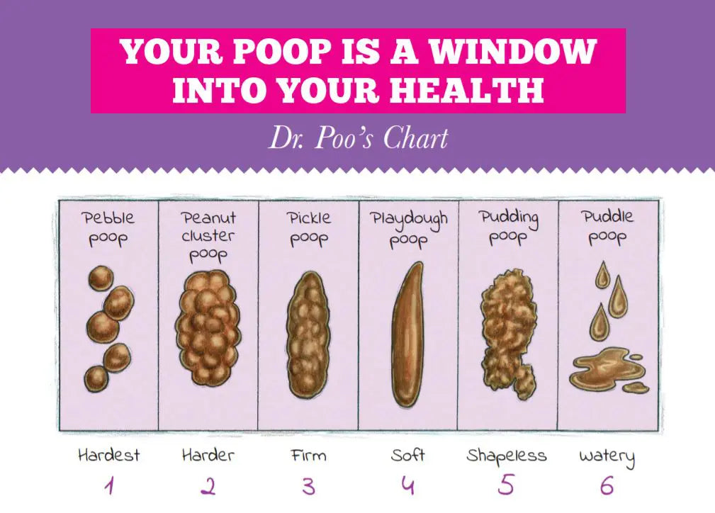 Dr. Poo's family-friendly poop chart