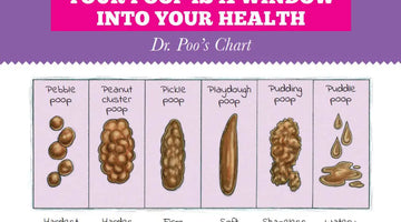 Dr. Poo's family-friendly poop chart