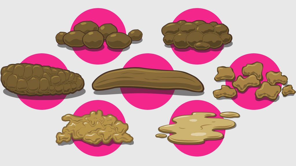 The perfect printable poop guide