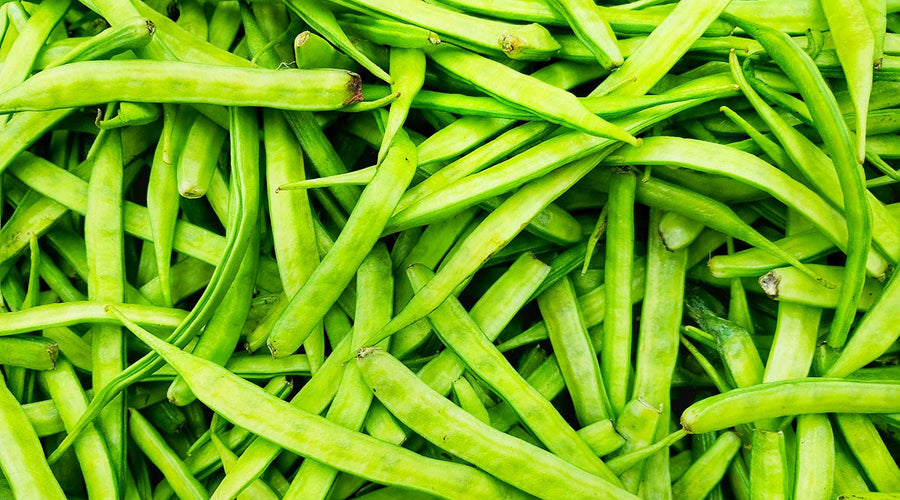 From Bean to Belly: The Surprising Story Behind the Fiber in Regular Girl®